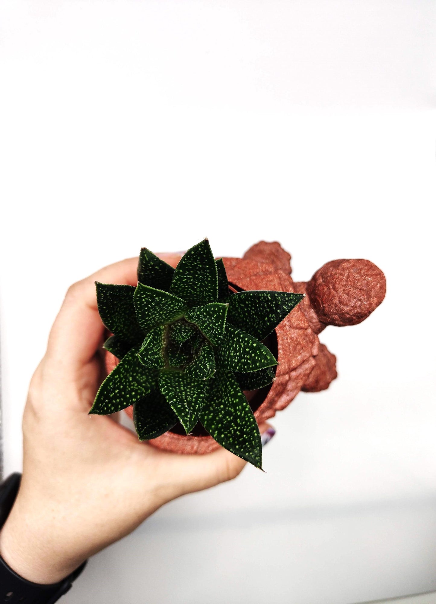 Turtle Themed Planter With Intricate Shell Detailing, Perfect for Adding a Touch of Nature Inspired Charm to Indoor or Outdoor Spaces,