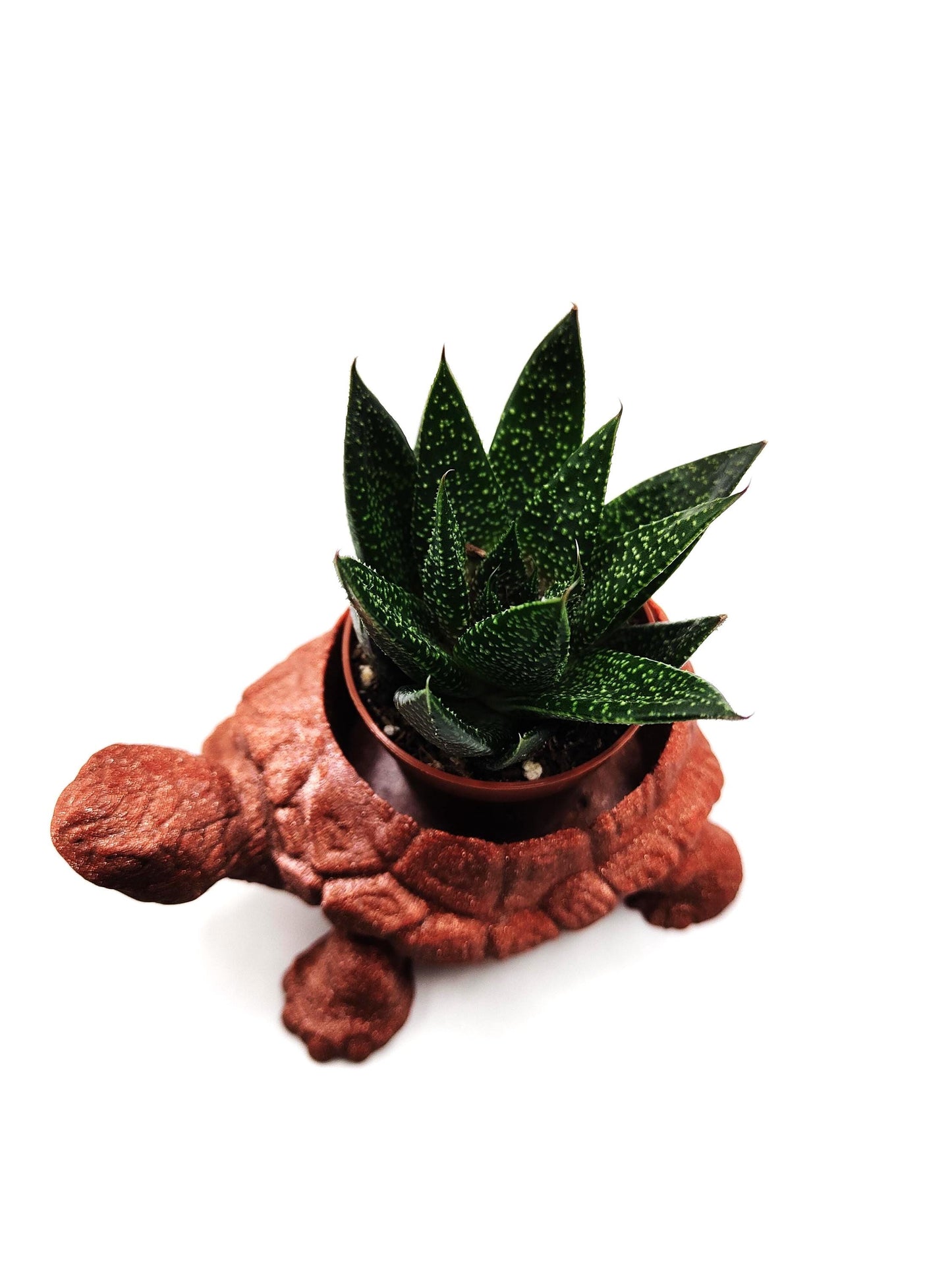 Turtle Themed Planter With Intricate Shell Detailing, Perfect for Adding a Touch of Nature Inspired Charm to Indoor or Outdoor Spaces,