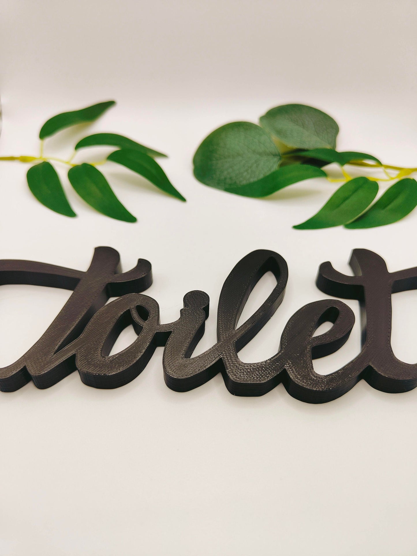 Toilet sign, door plastic sign, bathroom sign for your home, airbnb or your hotel