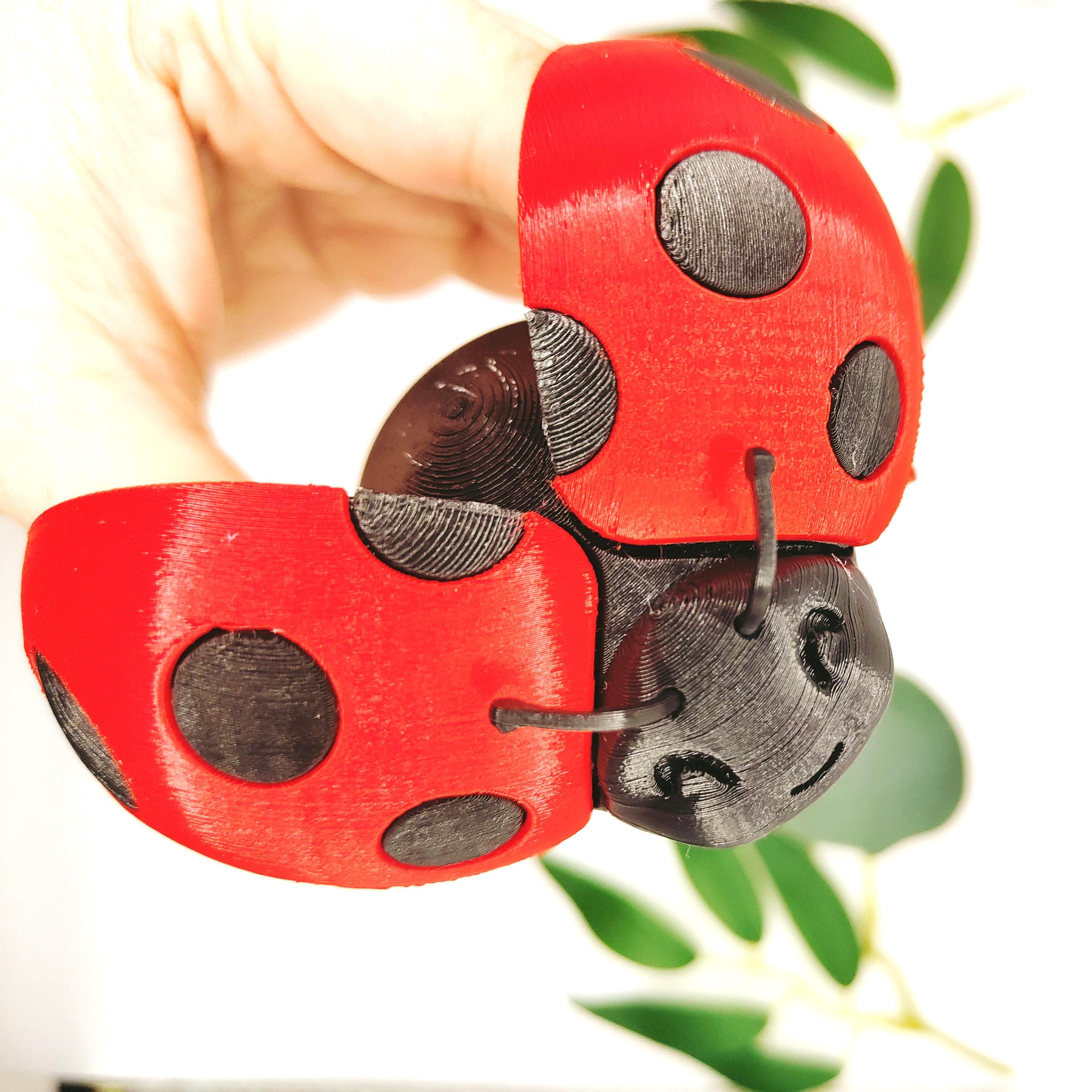 LadyBug 3D Printed Fidget Toy - Desk - Desk Pet - lady beetle - Adorable gift - lady bug lover